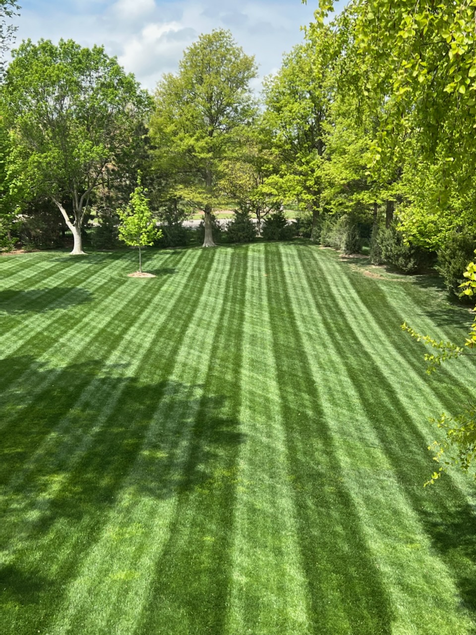 Lawn Maintenance